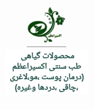 صفحه اصلی