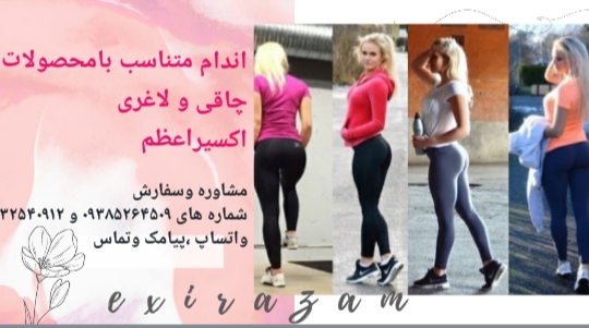 اصلی ۲